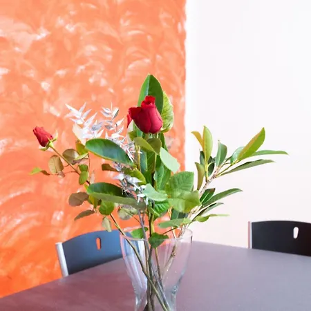 Spazioso Campovolo Appartamento *