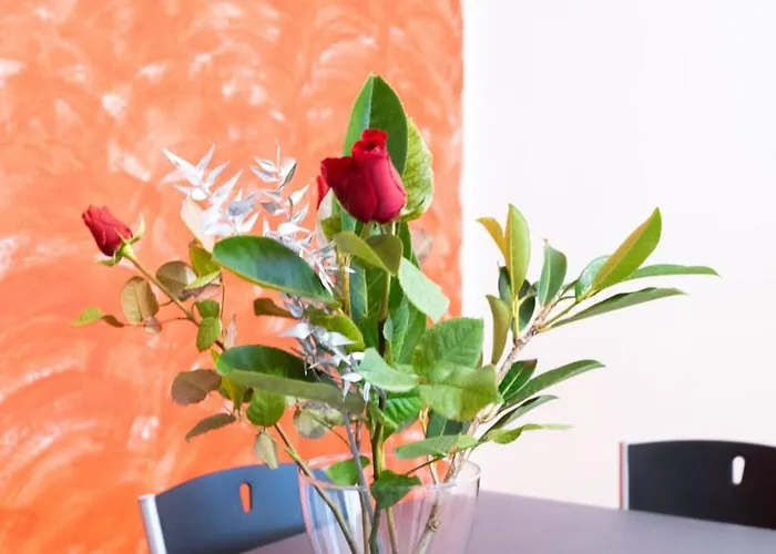 Spazioso Campovolo Appartement *